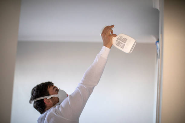 Best Attic Mold Removal  in Wesleyville, PA
