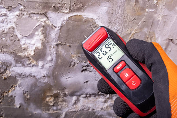 Best Mold Testing  in Wesleyville, PA