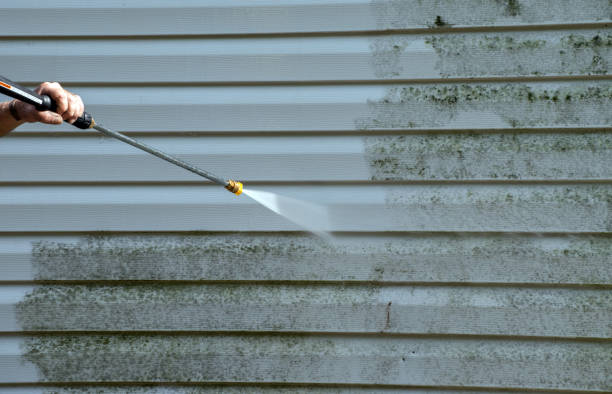 Mold Testing and Removal in Wesleyville, PA