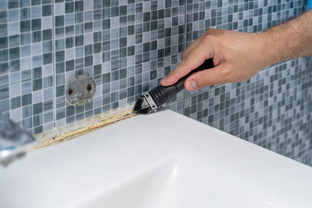 Reliable Wesleyville, PA Mold Removal Solutions